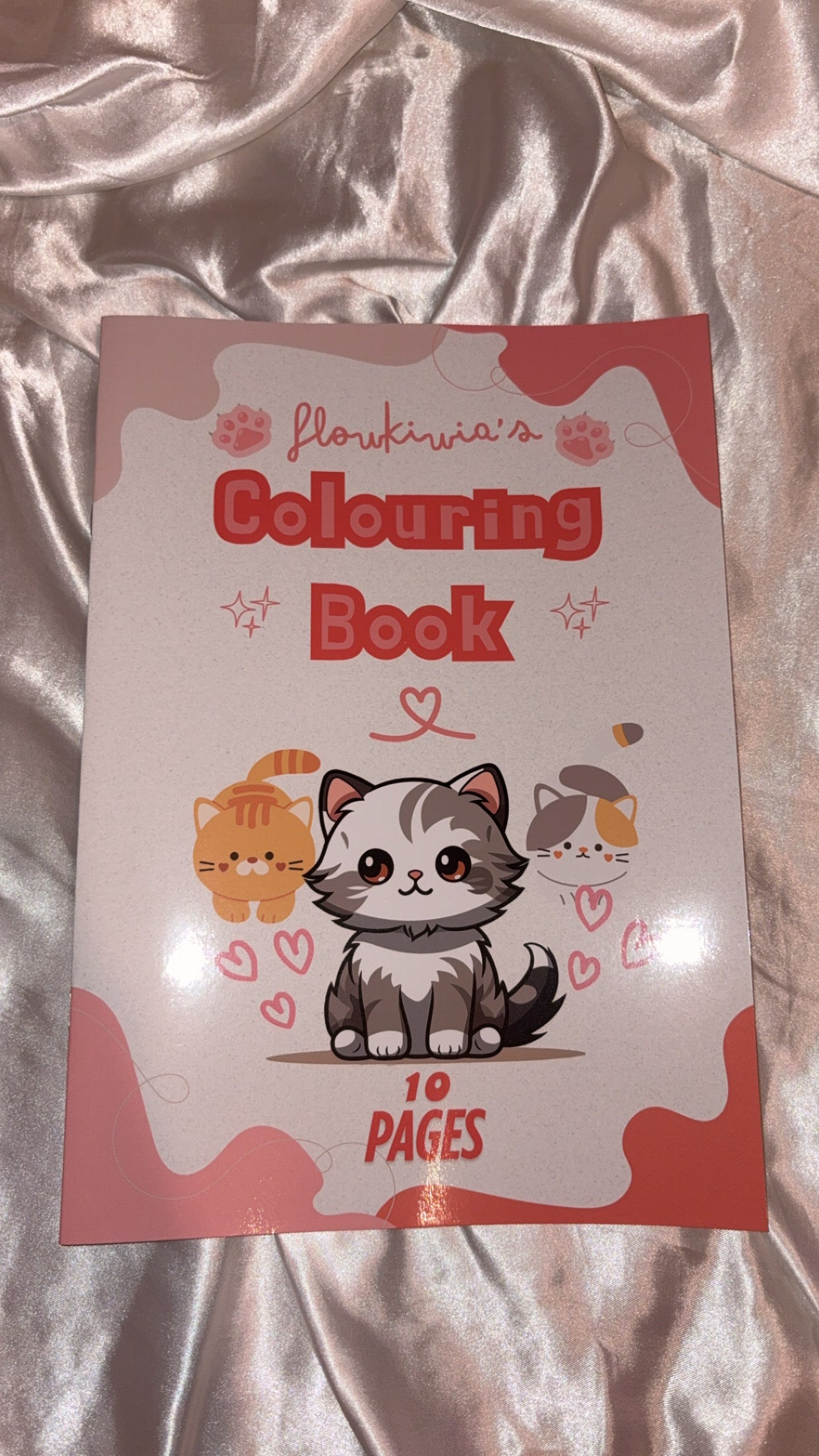 cat colouring book