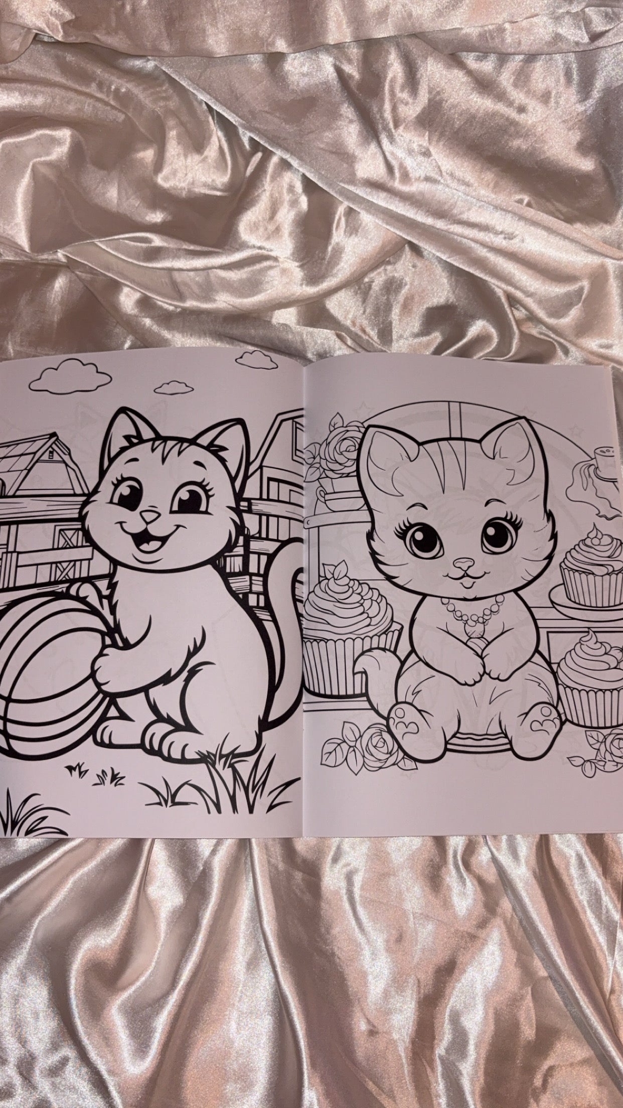 cat colouring book