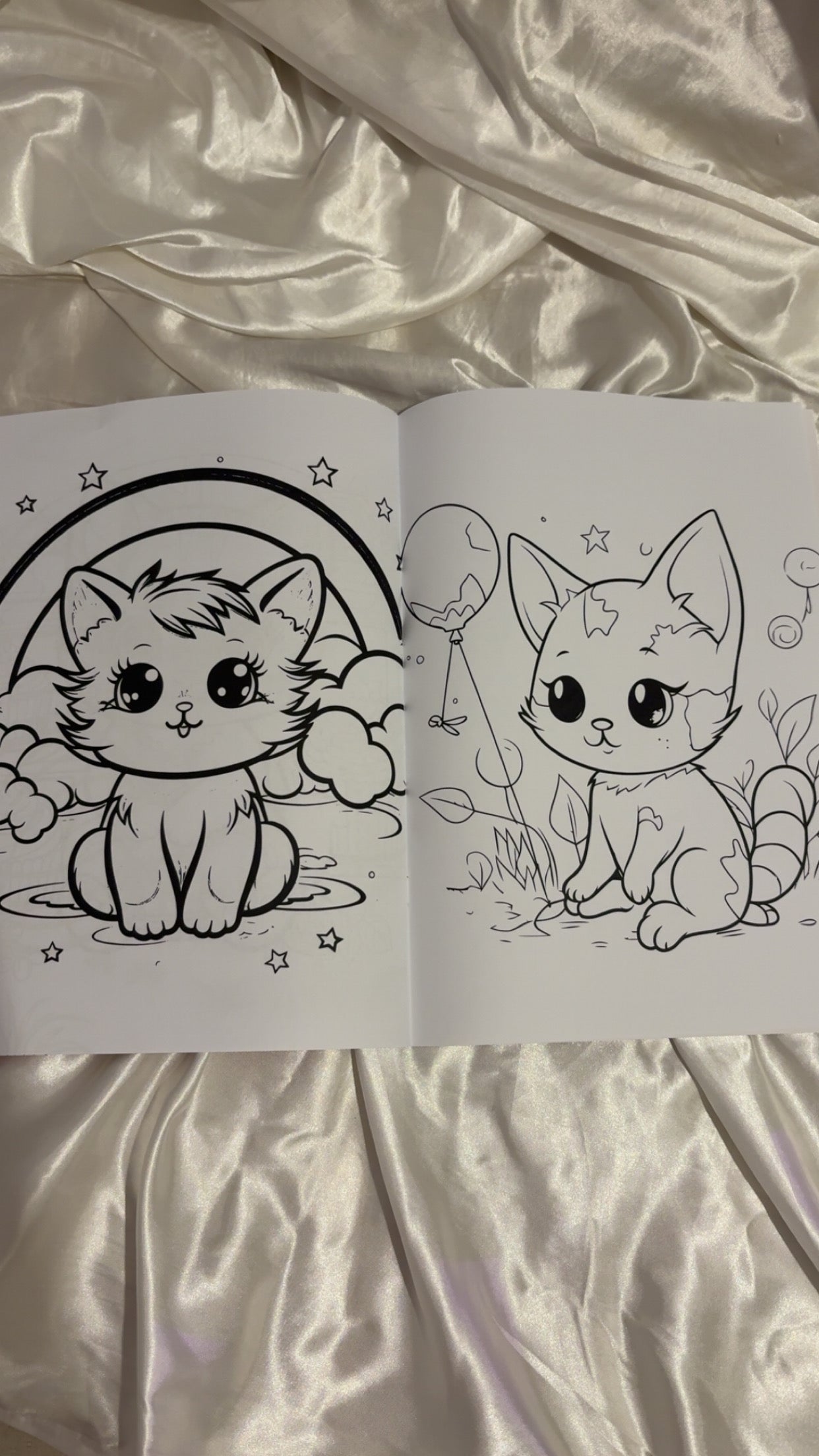 cat colouring book