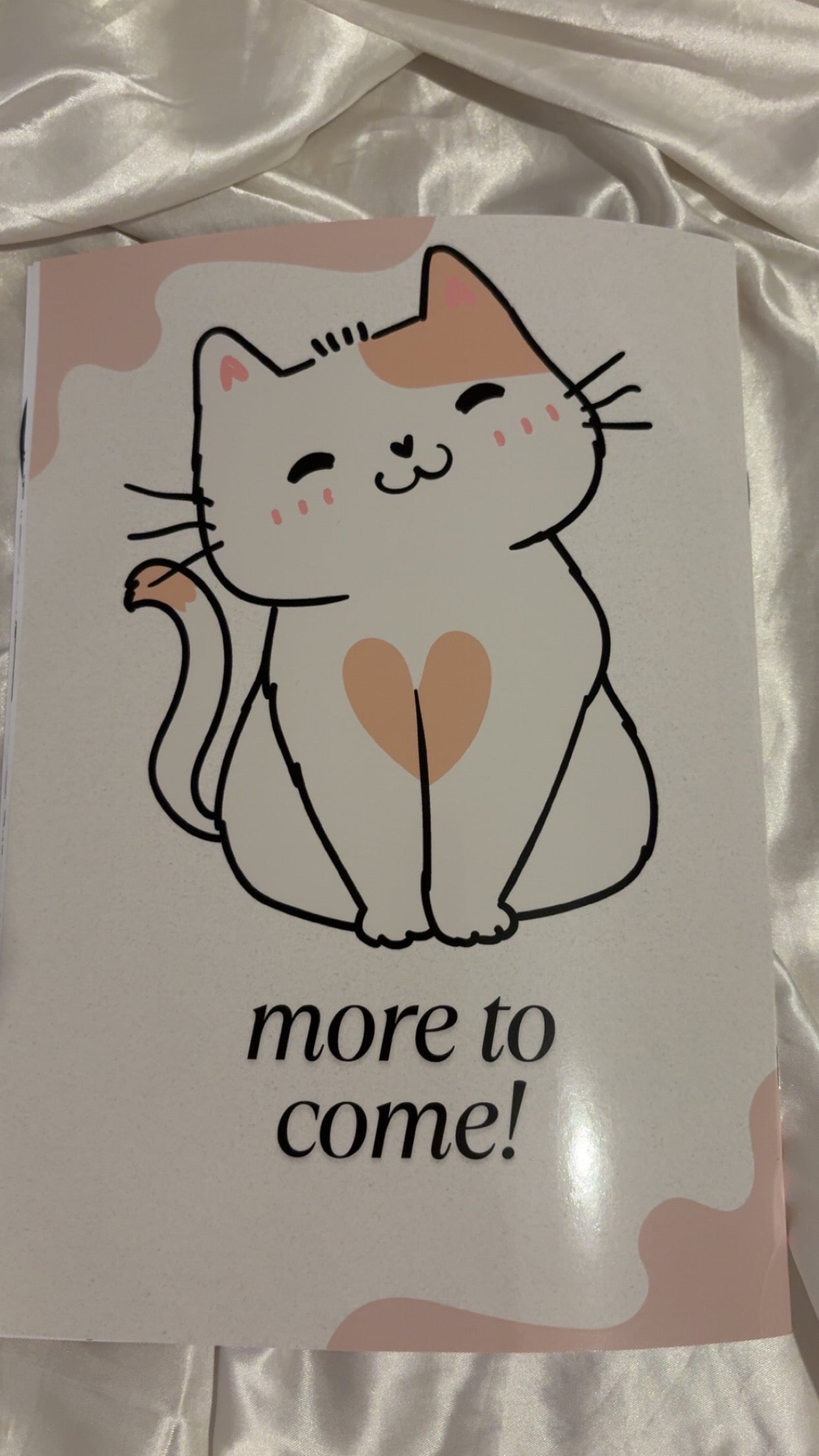 cat colouring book